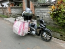 ubud (61)